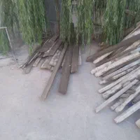 تخته روسی