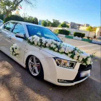 دنا پلاس ۹۷ فول