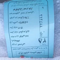 گندم آبی رقم پیشگام|خدمات باغبانی و درختکاری|میلاجرد, |دیوار