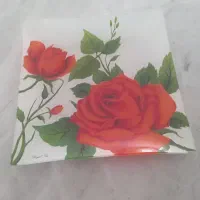 ظرف پذیرای