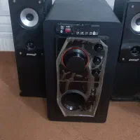 ظبت