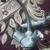 شیرالات زرد