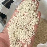 برنج هاشمی ۱۴۰۴ اعلا