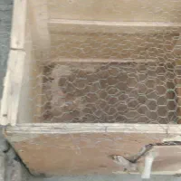 قفس مرغ و خروس|حیوانات مزرعه|بناب, |دیوار