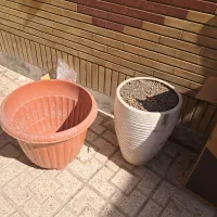 گل دون سفالی ۴۶ در ۳۰  گلدون قهوی ۴۰ در ۴۰