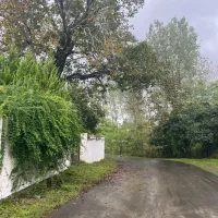 فروش ویلا باغ ۵۰۰متری چسبیده ب جنگل جنب نمک آبرود|فروش خانه و ویلا|هچیرود, |دیوار