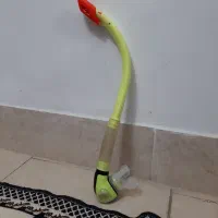غواصی اسنورکل