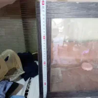 شیشه آکواریوم|ماهی|قروه, |دیوار