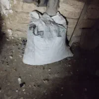 کود کفتر بار کفتر