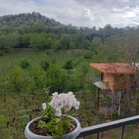 خونه باغ کلبه سویسی ویلا سویت|اجارهٔ کوتاه‌مدت ویلا و باغ|سی‌سخت, |دیوار