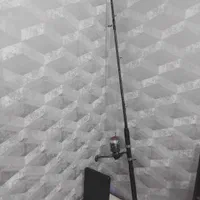 لنسر ماهیگیری