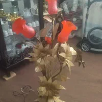 آباژور  کنار سالنی زیبا وسالم