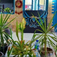 استخدام مجموعه فرهنگی و هنری