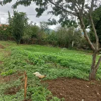 زمین مسکونی|فروش زمین و ملک کلنگی|ماکلوان, |دیوار