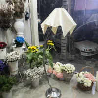 آواژاور