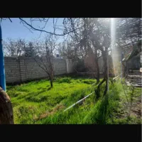 2100متر-مشارکت-با-سازندگان-و-سرمایه-گذاران-معتبر