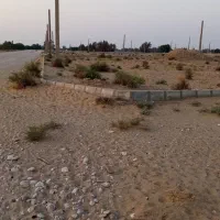 فروش زمین 2000متری|فروش دفتر صنعتی، کشاورزی، تجاری|برازجان, |دیوار