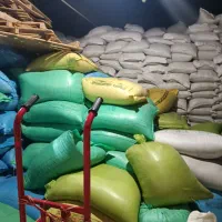 فروش فوری عمد ه دانه فقط عمده