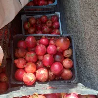 انار شیرین درجه یک|خوردنی و آشامیدنی|شاهرود (اردبیل), |دیوار