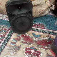 اسپیکر میکروفون دار