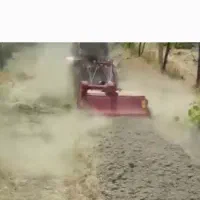 خدمات باغبانی صفر تا صد بادپر|خدمات باغبانی و درختکاری|ماهدشت, |دیوار