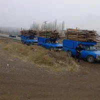 درخت بری|خدمات باغبانی و درختکاری|مشگین شهر, |دیوار