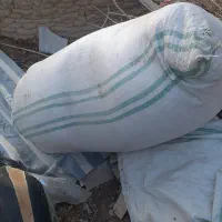 کاه گندم(کاه کمباین و پیله دار)