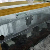 فروش آکواریوم با کلیه وسایل
