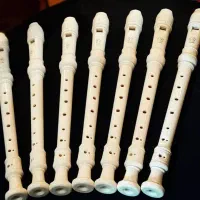 فلوت رکوردر آموزشی(مرکز موسیقی کودک)