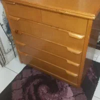 یک عدد دلاور سالم زیر قیمت