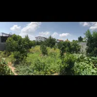 فروش-زمین220-و440متری-واقع-در-بابل-روستای-کمانگر