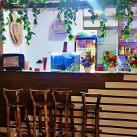 فروش وسایل تکی کافه فست فود ژین|کافی‌شاپ و رستوران|ایرانشهر, |دیوار