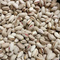 پسته اعلاء اکبری|خوردنی و آشامیدنی|نطنز, |دیوار