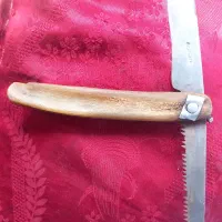 فروش یک عدد چاقو اره دسته شاخ کرگدن بسیار کمیاب|کلکسیون اشیاء عتیقه|سپیدار, |دیوار