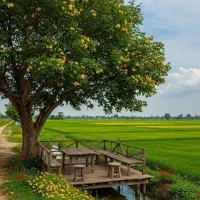 تعدادی گل شمعدانی جهت فروش