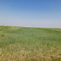 فروش زمین کشاورزی ۱۰ هکتاری آبی چهار فصل