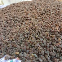 کشمش آفتابی تمیز بدون هیچگونه آشغال