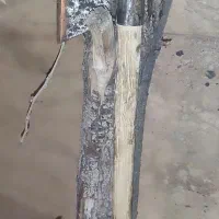 تبر|کوهنوردی و کمپینگ|اردبیل, |دیوار