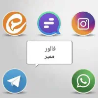 ممبر تلگرام هر 1000 عدد 2 هزار تومان خیلی ارزان