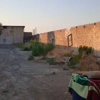 فروش مرغداری گوشتی