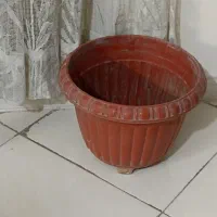 یک گلدان مستطیل شکل و یک گلدان گرد|گل و گیاه طبیعی|تهران, خاوران|دیوار