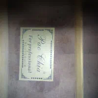 گیتار حرفه ای|گیتار، بیس، امپلیفایر|شاهینشهر, مسکن مهر|دیوار