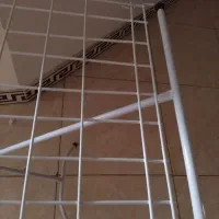 بندرخت بالدار نو وسالم|بندرخت و رخت‌آویز|گرگان, |دیوار