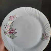 پبش دستی و انار خوری|ظروف سرو و پذیرایی|اراک, |دیوار