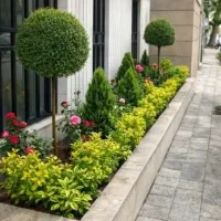 خدمات درخت کاری باغچه باغبانی صفرتاصد