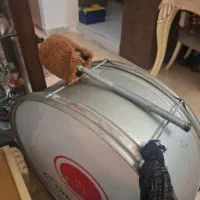طبل محرمی