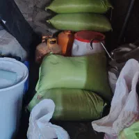 بزر یونجه|حراج|مریوان, |دیوار