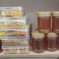 عسل|خوردنی و آشامیدنی|کرج, برغان|دیوار