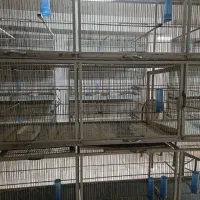 قفس پران|لوازم جانبی حیوانات|تهران, جوادیه|دیوار