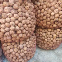 گردو تازه  خوش طعم درجه یک  سپیدان|خوردنی و آشامیدنی|شیراز, بازار|دیوار